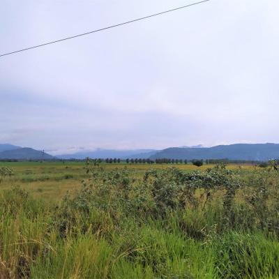 VENTA DE TERRENO DE 60 HAS. EN SAN MARTÍN